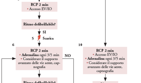 Protocollo ACLS (Supporto Vitale Cardiovascolare Avanzato)
